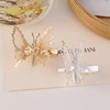 butterfly Hairpin new pattern Retro Reminiscence three-dimensional butterfly Metal Edge clamp personality Metal Card issuance