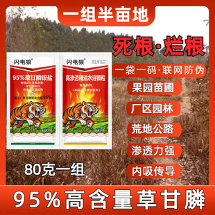 ���݄��ߝ��95%�ݸ�좜�݄����������Թ��@�ĵ؈@�ֳ��s��