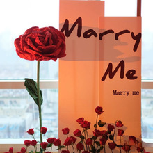 ����҃Ȳ������˹������@ϲ���KT��������Ҹб������b�