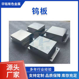 源头厂家定制加工纯钨板块 99.95%钨板 电极纯钨板 规格材质全