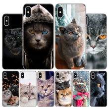 适用苹果手机壳英国短毛猫手机壳苹果iPhone 11 12 13 15 Ultra 1