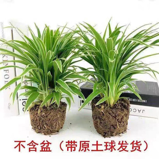 ��߅���ĵ��m�����҃��̨�ļ�����͏d����ˮ�ഹ���滨�ܾGֲ��