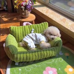 ネット赤の大きな目系の犬の巣の猫の巣のストライプのソファーの形の巣のマカロンのペットの巣はペットの巣を持つことができます。