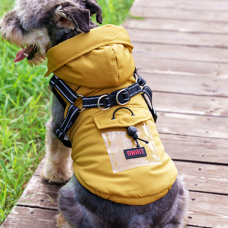Oso de peluche de dos patas Bomei chenari Chaleco de perro pequeño Ropa de perro mascota transfronteriza engrosada Otoño e Invierno