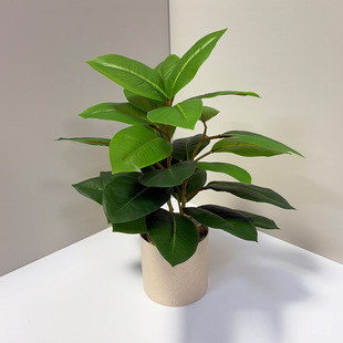 ���R�d�ٻ����滨������}�Q���b���Gֲ��������~�ň�������