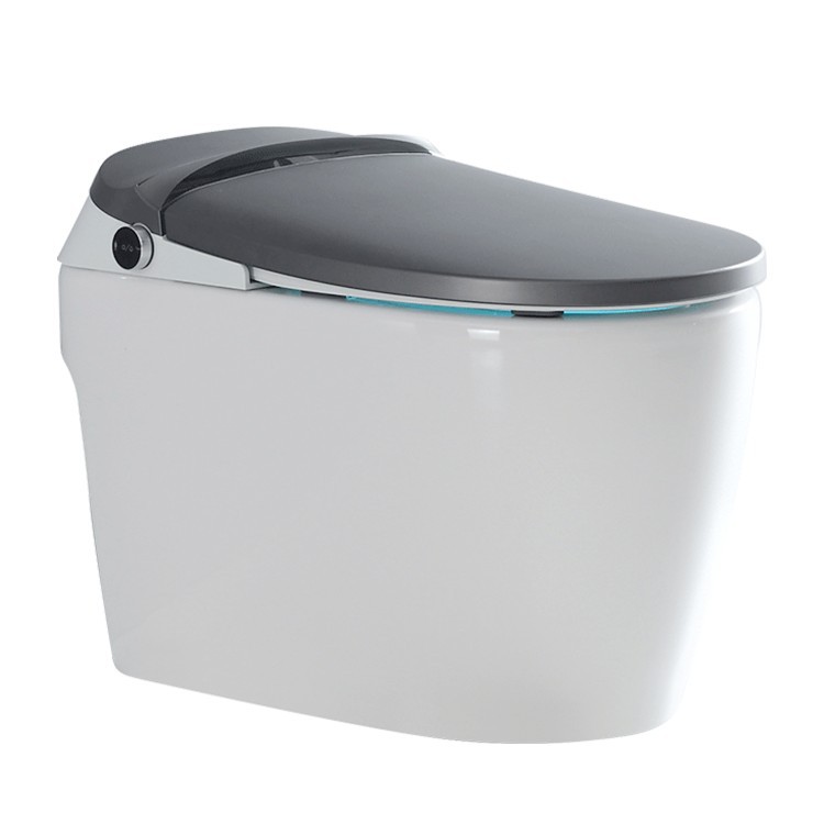 Inodoro eléctrico integrado automático gris del hogar del retrete del espacio profundo con la versión de gama alta teledirigida del retrete elegante del tanque de agua