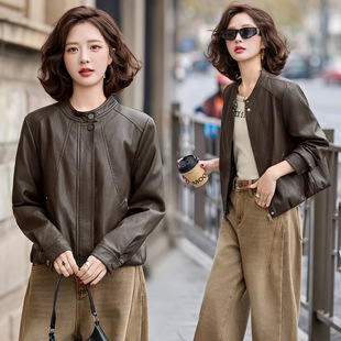 �̿����IƤ������2026�¿��С���Ӛ��|�͹����d��Ƥ�C܇�A��