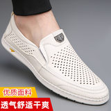 Màu trắng đục lỗ