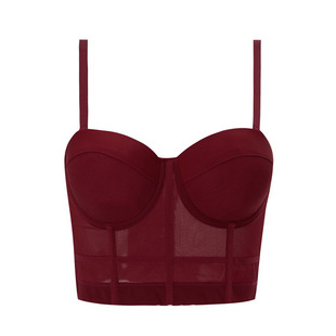 Cross-Border Foreign Trade Women's Sexy Tube Top Push-Up Underwear Solid Color Mesh Fishbone Bra Women's Vest Tops Wholesale