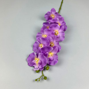 �ߙn��������m�b��������ϻ��͏d�Gֲ���P�z���ٻ��[������