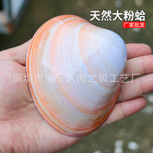 �۸��ɫ��ؐ���~���쾰�Ҿ��b��ղؔ[����β�������������նY��