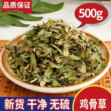 黄头叶梗5g克溪黄草草广西鸡骨草鸡骨草干非中药材大黄草新鲜中国