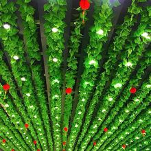 �ٻ��Gֲ��픾G�~�b��ٗl���������~�҃���픾G�}���~������