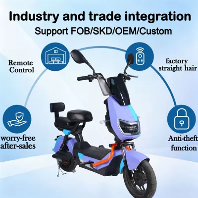 Foreign Trade Electric Bicycles, Elektrikli motosikletlər