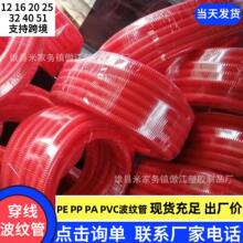 ϲy PEy PP/PAȼyܛo׹ ܛ