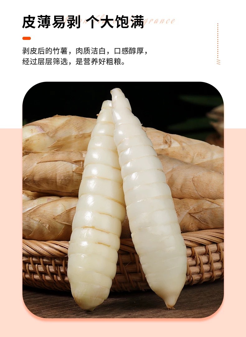 广东高州源头产区竹薯大量批发当季新鲜竹芋现挖现发无渣冬粉薯-阿里巴巴