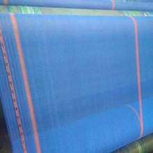 PEPP�O�W���z�C ���a���x�W���O�����z�D���νz�C ���a�V�W���a��