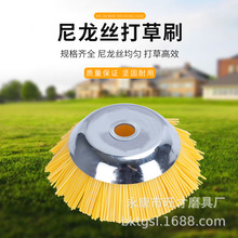 ͹坍ѩCëˢݙC݆䓽zPP݆