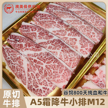 ѩ��A5ȫѪ��ţţС��ԭ��ţ��M12˪��ѩ��ţ����ʽ�������ţ