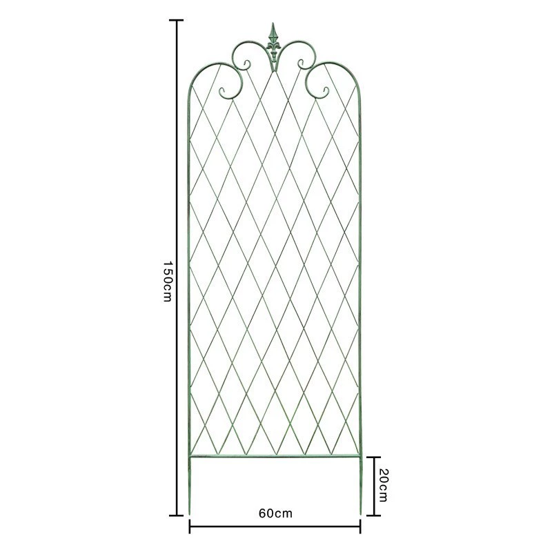 Американский клематис восхождение на ротановую стойку