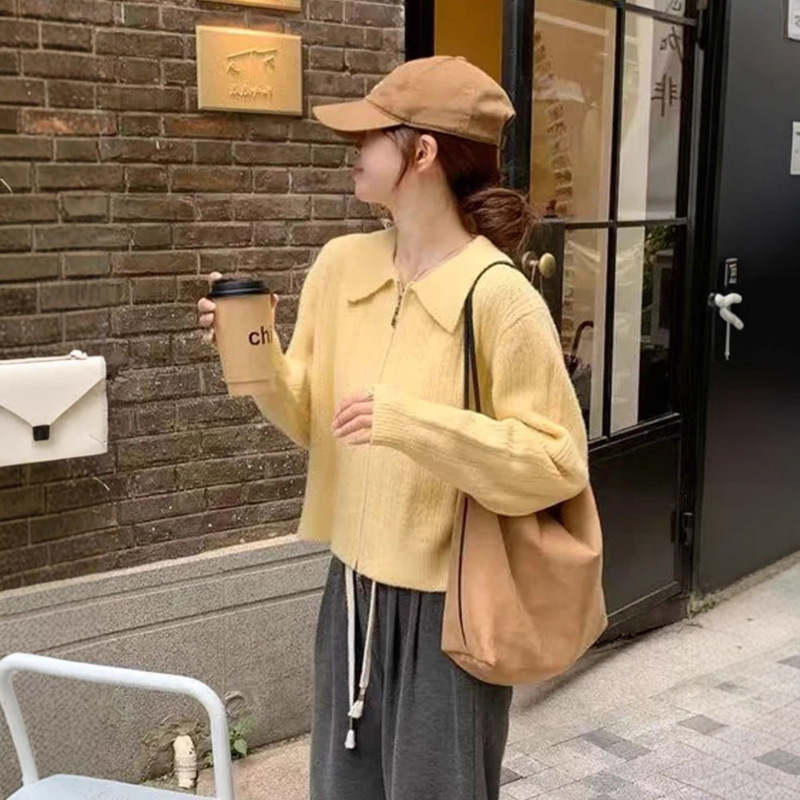 2025春秋新款翻领针织开衫外套女甜美温柔气质毛衣舒适休闲上衣潮|undefined