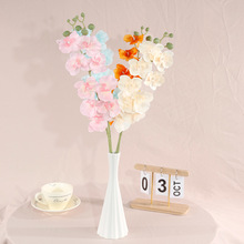 ����9�^���������m �ҾӔ[����Y���ò廨�Ƶ��b����컨�S��ֱ�N