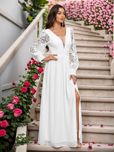 Women's clothes New long-sleeved V-neck lace chiffon backless wedding bridesmaid dress banquet