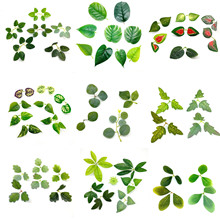 �����~�ӷ��滨ˮ������G�~���~���X�~��ë�~õ���~�����~�G�}�~