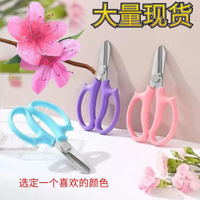 Нержавеющая сталь Ветви Ветви Обрезы Садовые ножницы Домашние Цветочные ножницы
