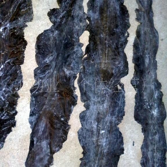 现货供应新货精装无沙晒干海带批发  挂菜 自产自销价格优惠