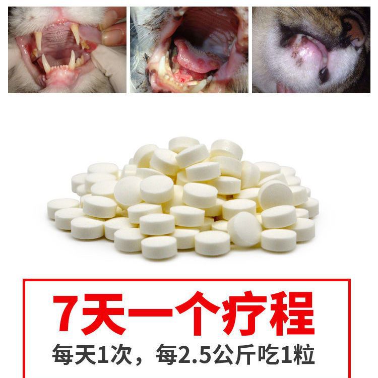 猫口炎清片猫口臭粒价格宠物犬猫用口炎口腔流口水牙龈炎