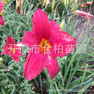 ���깩���t����� ����� �ݻ��ر�ֲ����������С����