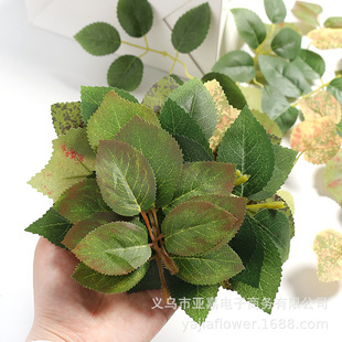 �z�W���������õ�廨֦���~֦��ĵ���~�ٺϻ��~�ֹ�diy����Gֲ