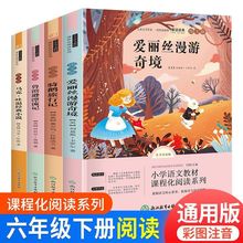 옷x꼉nz澳IdƯӛ