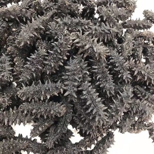 ���_˹�M��Ұ���ɺ�����ʳ�������aƷ�����ˠI�BƷ100�^�������]