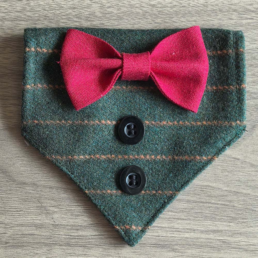 TANPOPO transfronterizo para gatos guapo corbata toalla triangular collar trajes de moda toalla triangular para mascotas