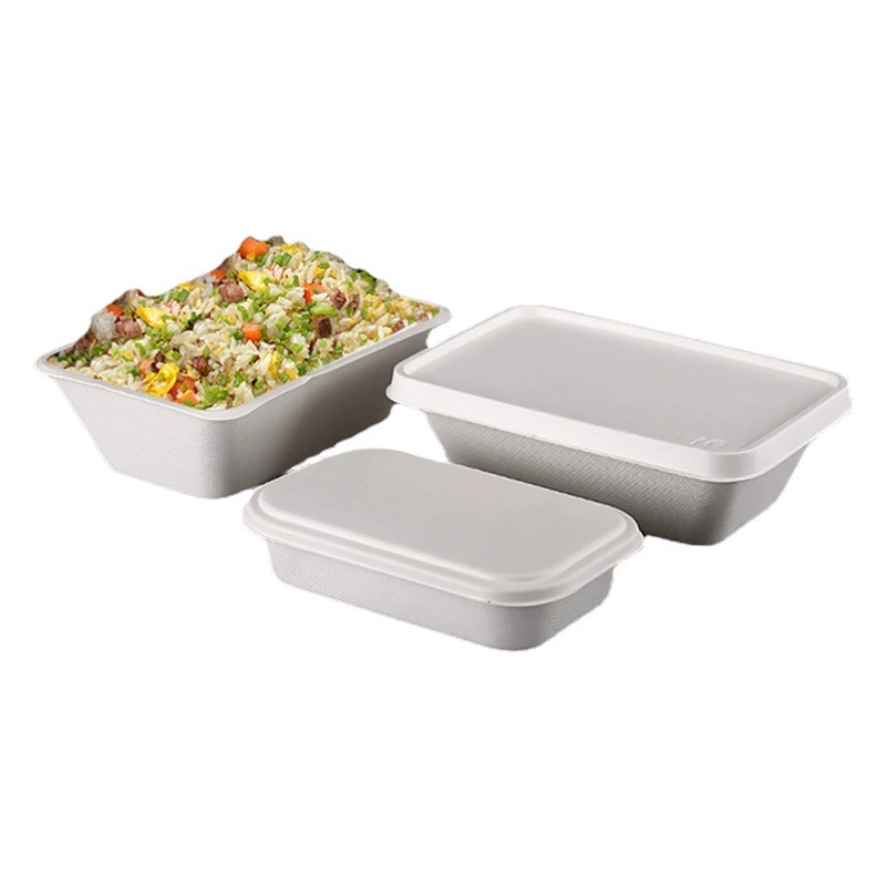 Одноразовый ланч-бокс из авиационной целлюлозы, контейнер для еды из сахарного тростника, прямоугольный, для фитнеса, легких блюд, овощных салатов, экологически чистый