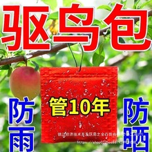 �����x��s��B��ζ�Ғ�������@�o�r���r��ׯ��ș���u��