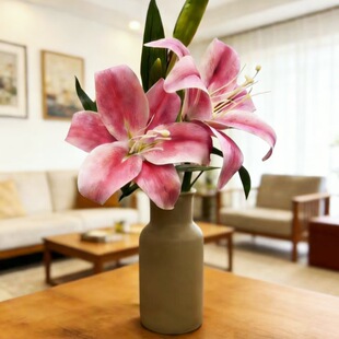 ���Wins�L�����մɰ�ɫ��ƿ�[���͏d�b廨�ɻ����滨�����b�