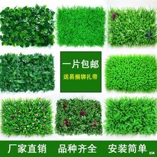 ֲGֲƺƤ͏dϼٻT^̨b