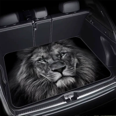 Cross-border Amazon simple car-specific Avtomobil döşəmə paspasları - temus-new-trunk-mat-2-75100cmcrystal-velvet