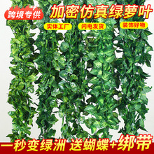 仿真绿萝树叶子假花藤条藤蔓室内吊顶装饰水管道塑料绿植缠绕遮挡