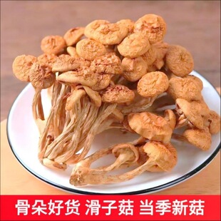 �|���ɻ��ӹ��SĢ����؛�����o�����С�u��Ģ���ڸ��ۻ�