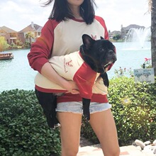 跨境法斗狗狗春季新品宠物服饰人宠亲子装 法斗八哥犬