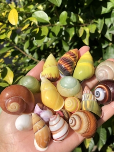 ��Ȼ����ؐ���Sɫ������΁ţ���˱��ղ��ݼľ�з��Q���~���쾰