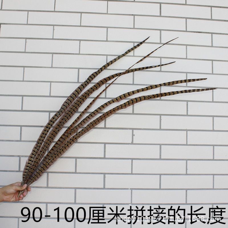 Fábrica al por mayor pelo de faisán 10-90cm cola de faisán pluma de bricolaje danza plumas de faisán cola de gallina palo de gato divertido image 25
