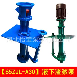 65ZJL-A30 Һ�����{�� ֱ�B ��ʽ���{�� �ߵر� �ؿ����{��ɳ��