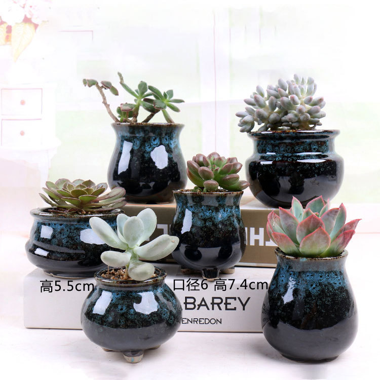 Control de raíz pulgar olla suculenta maceta cerámica vintage hogar carne especial pequeña olla de barro fábrica directa al por mayor