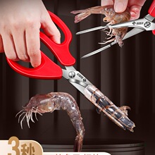 �๦�������r�����r���޳������r�_�r��ȥ�r�^���r������