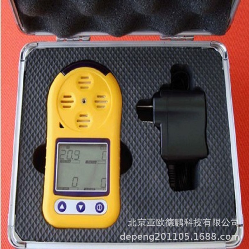 亚欧 便携式二氧化硫检测仪/便携式SO2检测仪DP-SO2